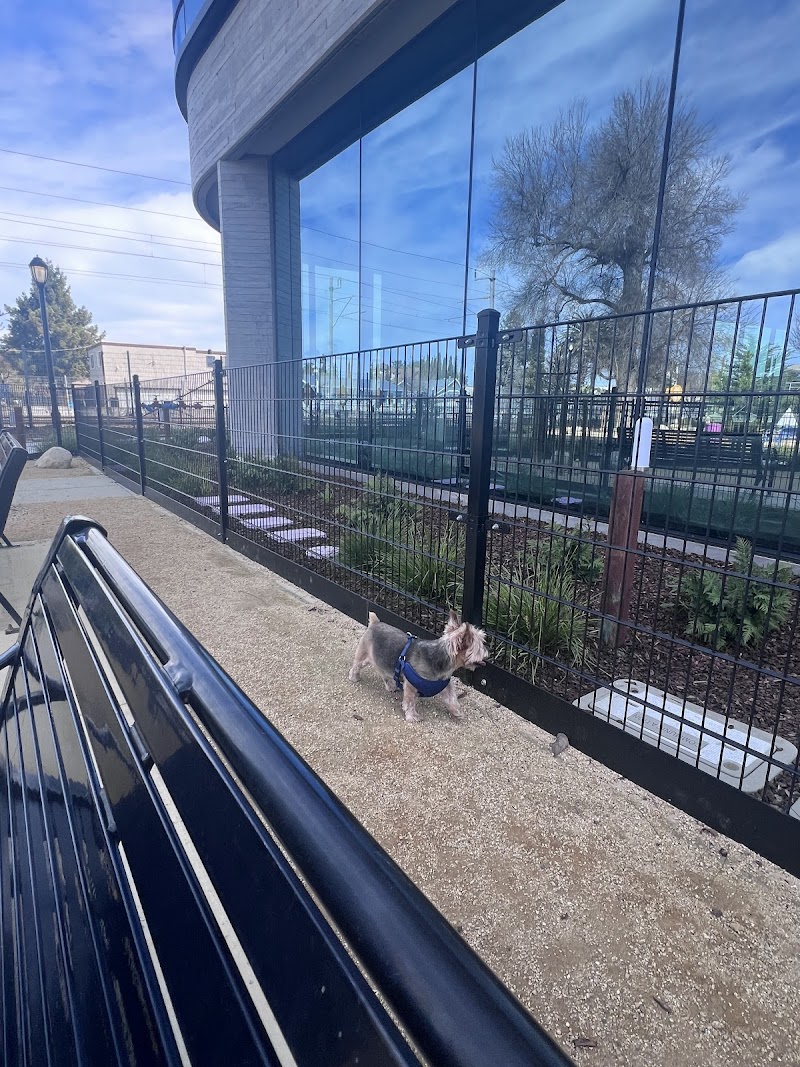 Main Street Agility Dog Park photo 4