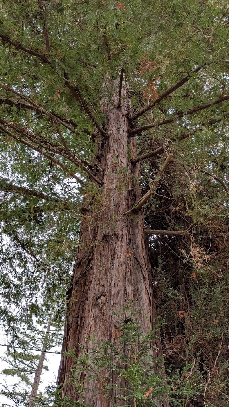 Photo of Doc Edgar Park