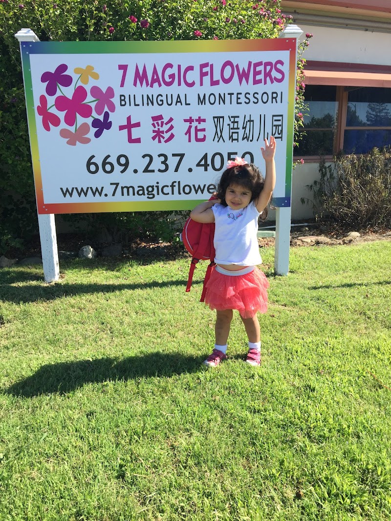 7 Magic Flowers Bilingual Montessori Preschool photo 4