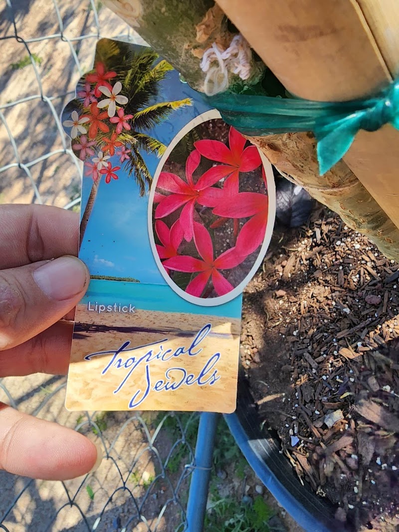 Flower of the Gods Nursery photo 3