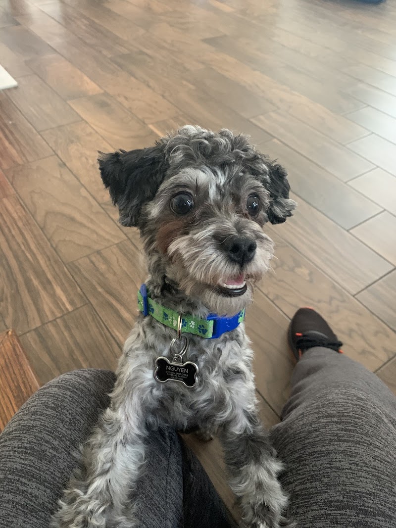 Photo of East Bay Paws