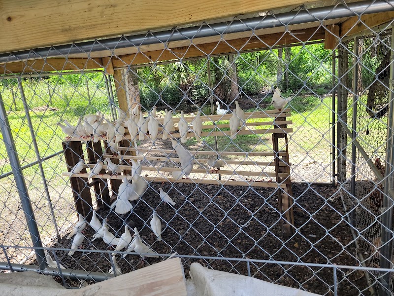 J&B farms photo 4
