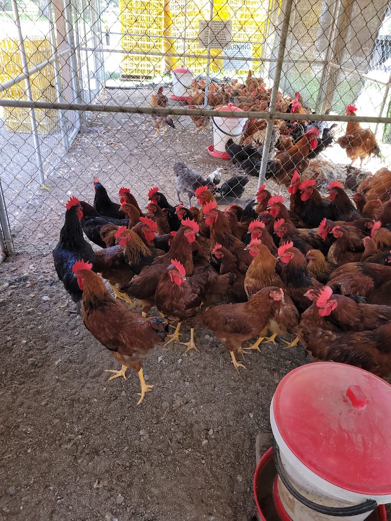 J&B farms photo 3