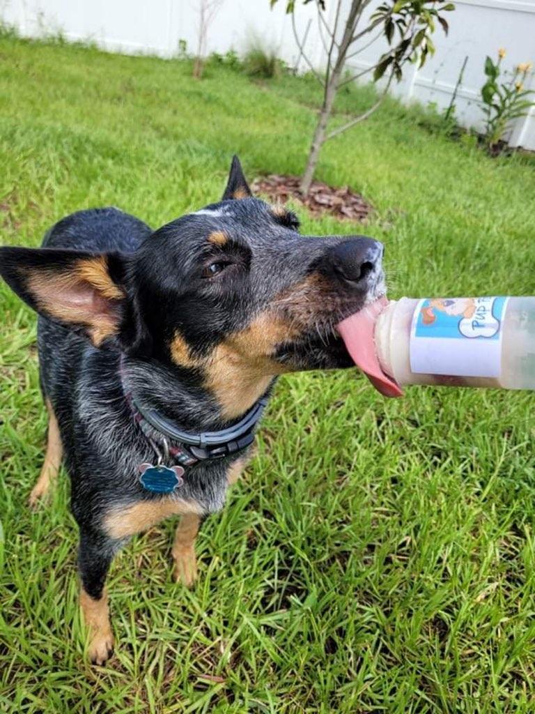 Photo of Pup Popz