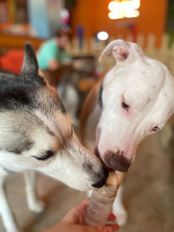 Pup Popz photo 2