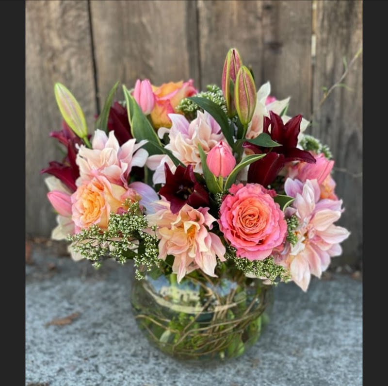Photo of La Vie en Rose Flowers