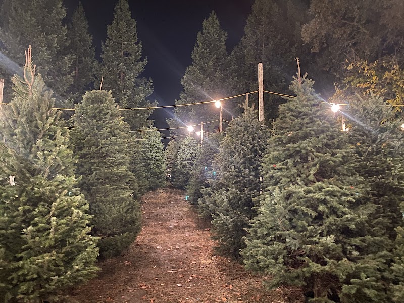Photo of Hansen's Christmas Trees