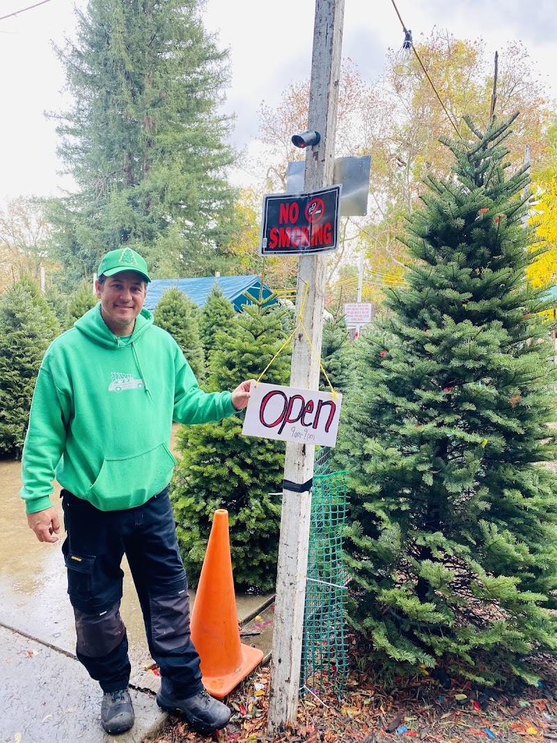 Hansen's Christmas Trees photo 2