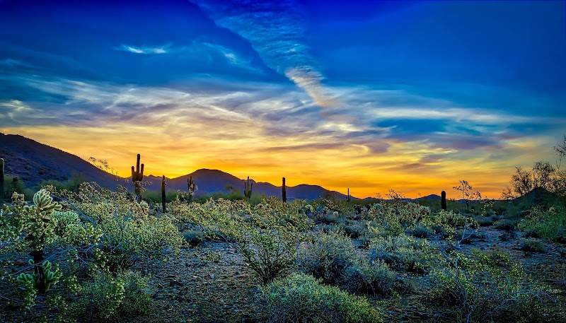 Photo of Yost Realty Group at RE/MAX Casa Grande