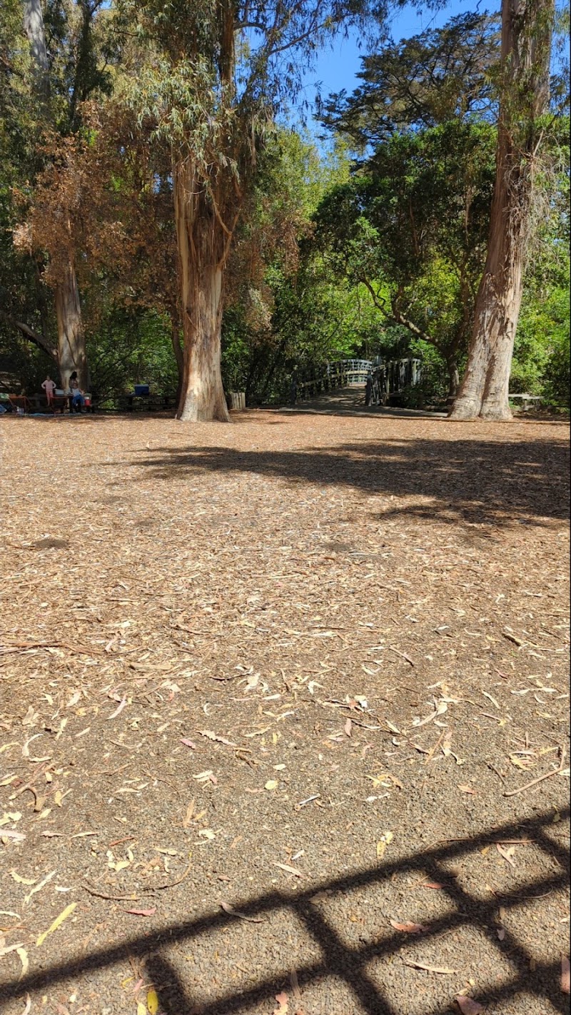 Picnic Area | Twin Pines Park photo 2