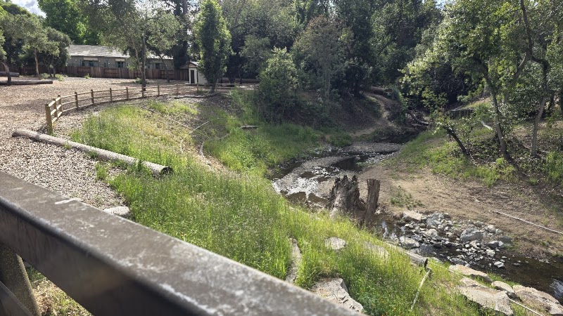 Photo of Picnic Area | Twin Pines Park