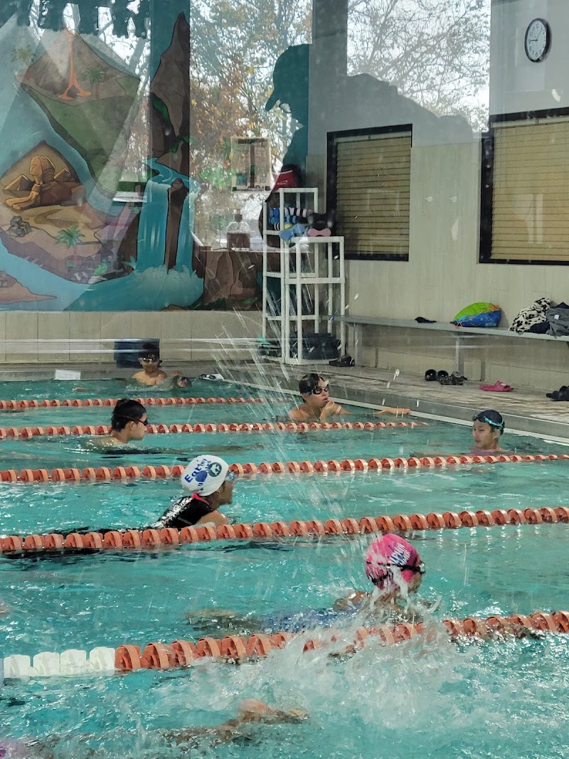 Calphin Swim Academy photo 4