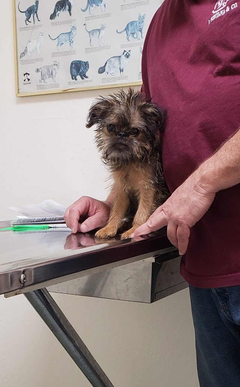 Restani Fatima Veterinary Hospital photo 2