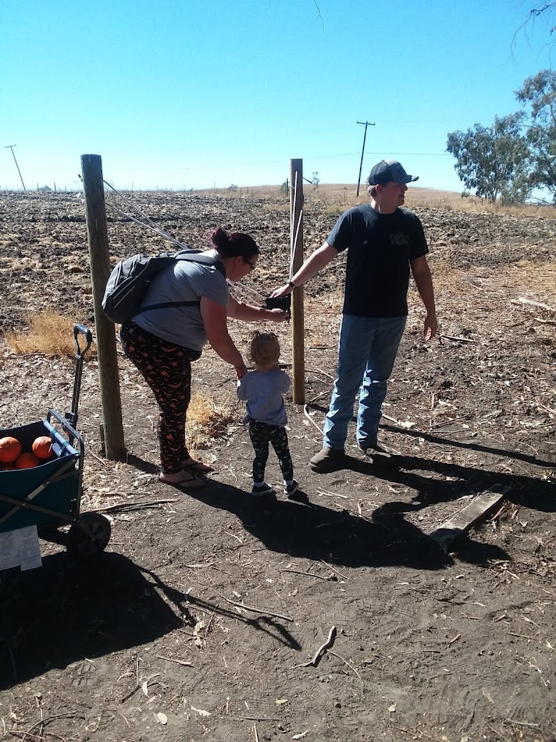 Gum Grove Station photo 5