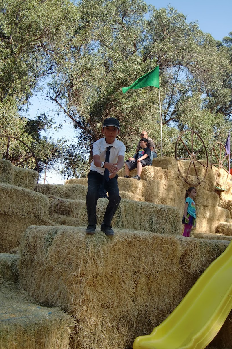 Gum Grove Station photo 3