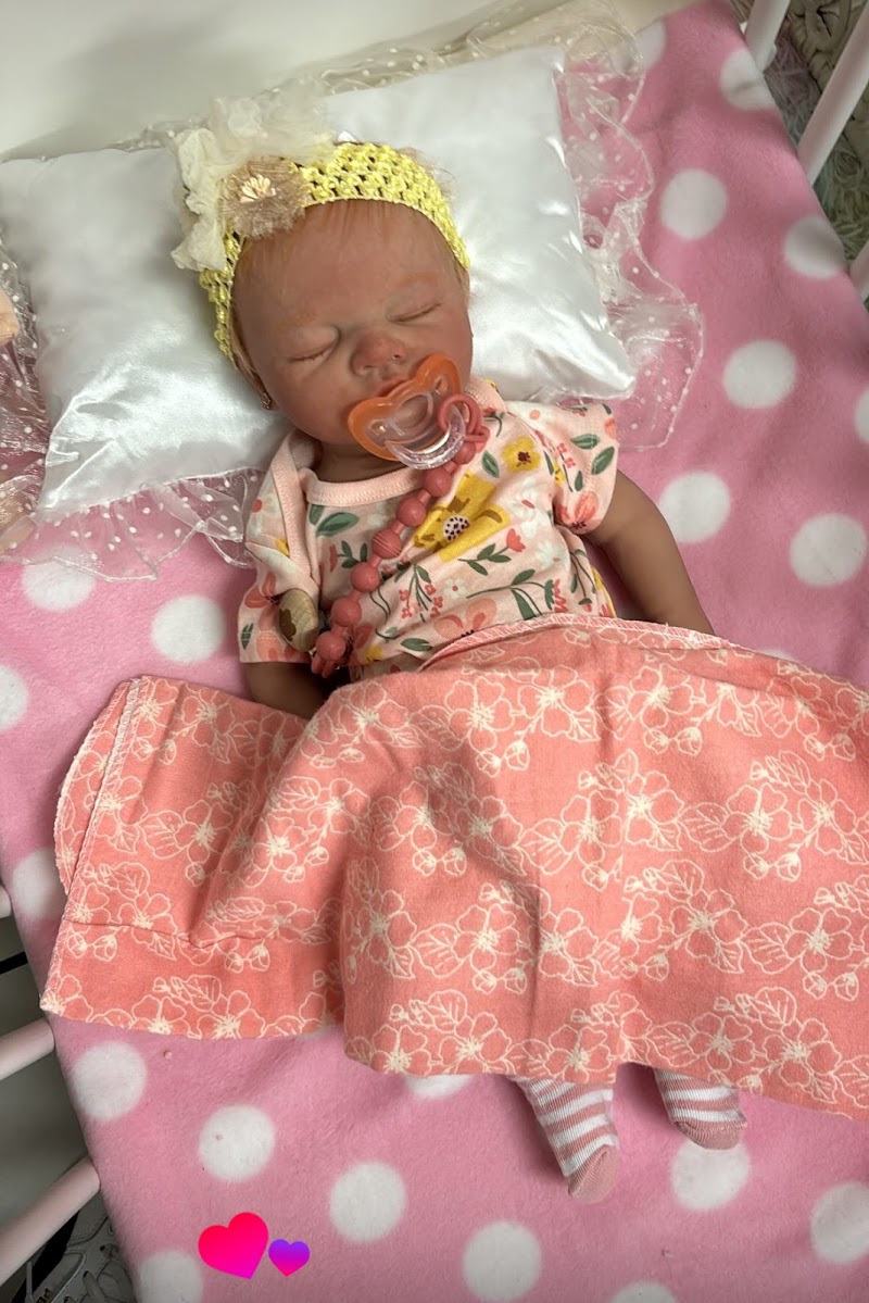 DreamShyre nursery photo 5