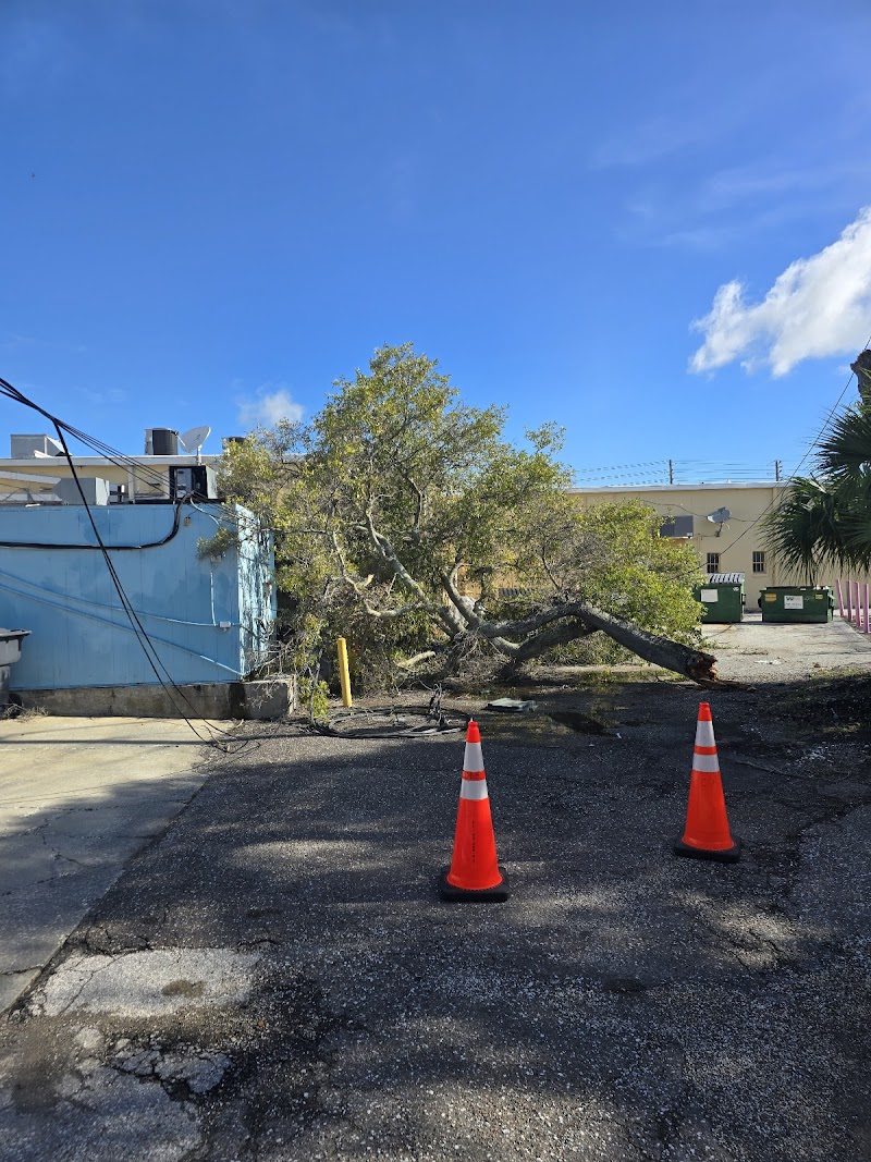 Belleair Bluffs Plaza photo 2