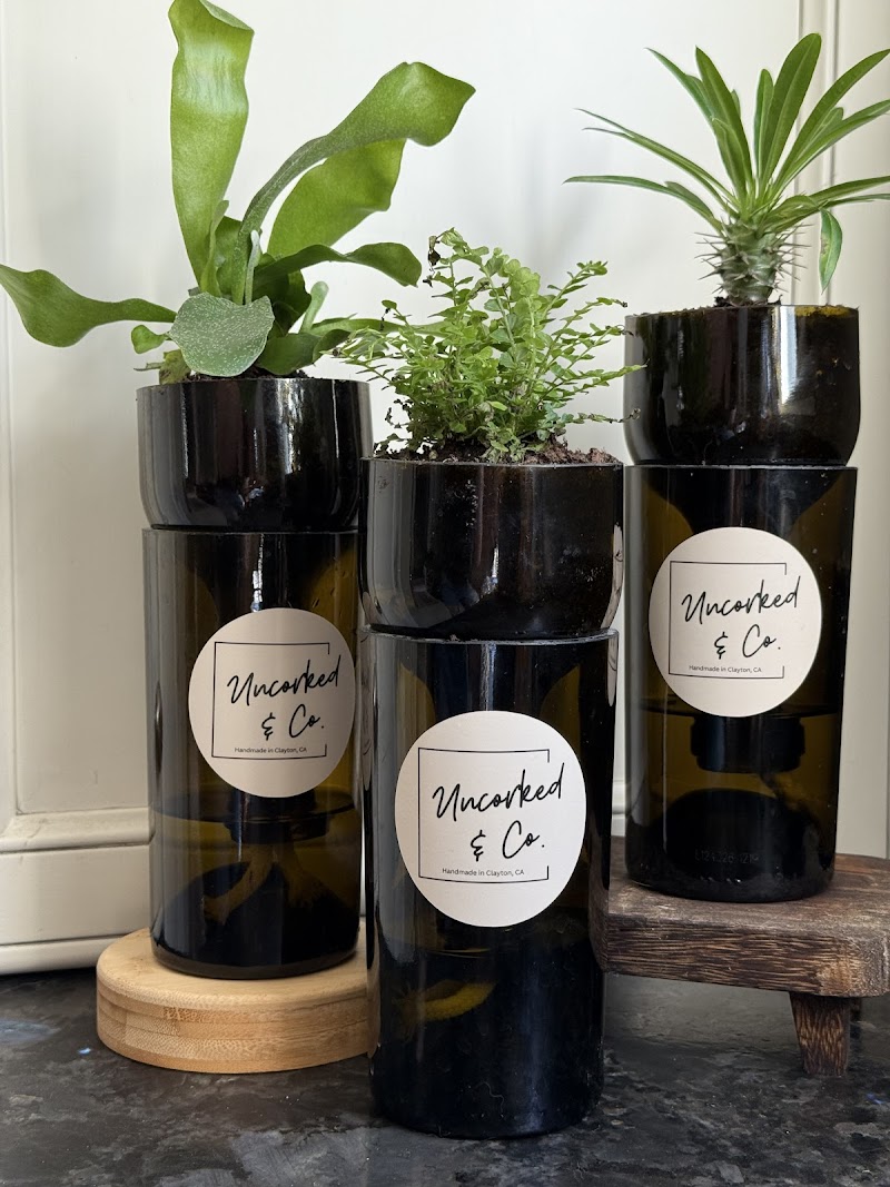 Uncorked & Co. photo 4