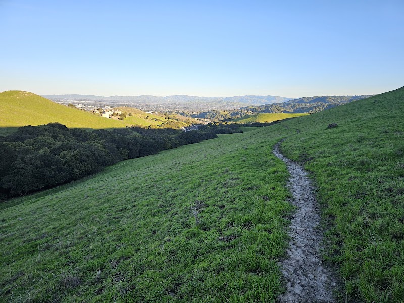 Dublin Hills Regional Open Space Preserve photo 4