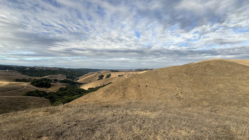 Dublin Hills Regional Open Space Preserve photo 3
