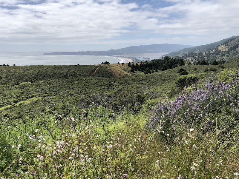 Mount Tamalpais State Park photo 3