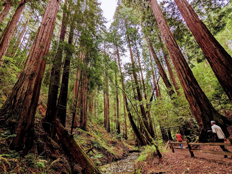 Mount Tamalpais State Park photo 2