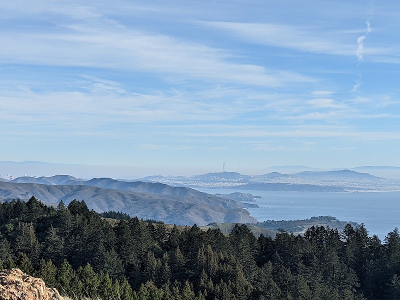 Photo of Mount Tamalpais State Park