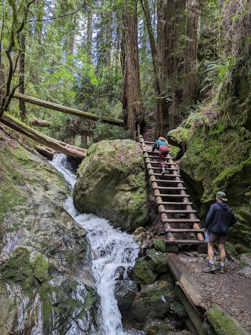 Mount Tamalpais State Park photo 5