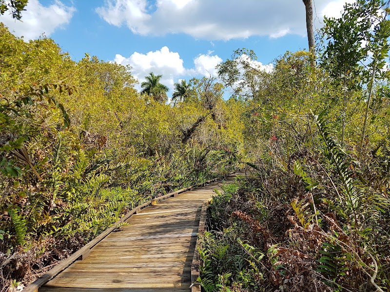 Collier-Seminole State Park photo 2