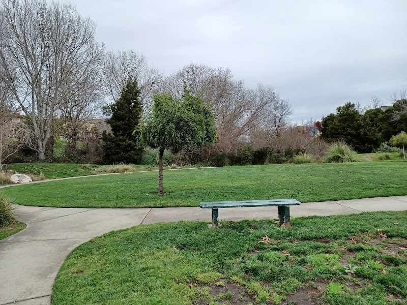 Frog Pad Park photo 3