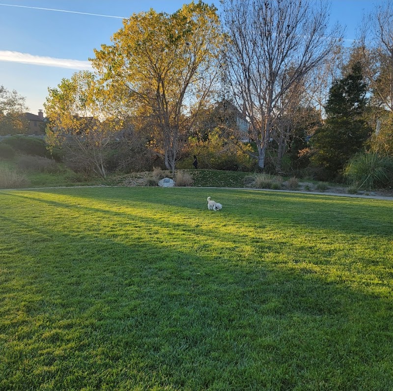 Frog Pad Park photo 5