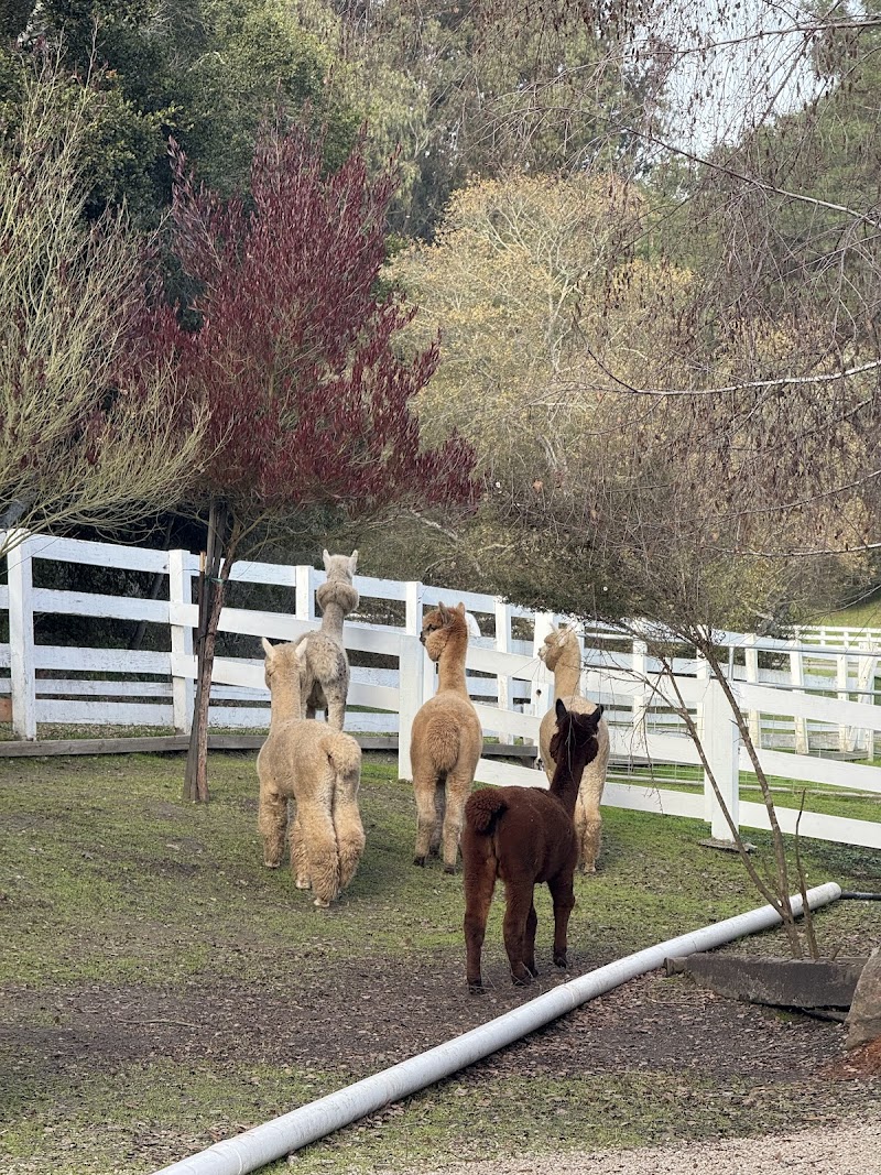 R2 Hillside Ranch photo 3