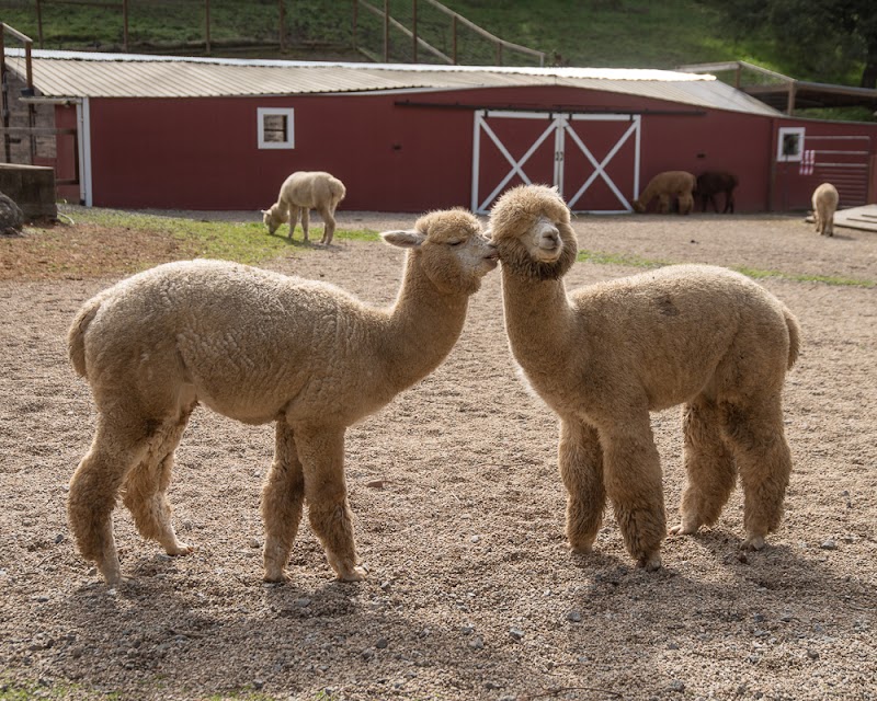 Photo of R2 Hillside Ranch