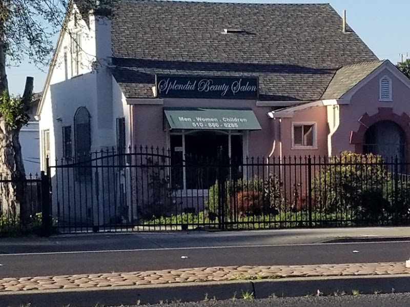 Splendid Beauty Hair Salon photo 4