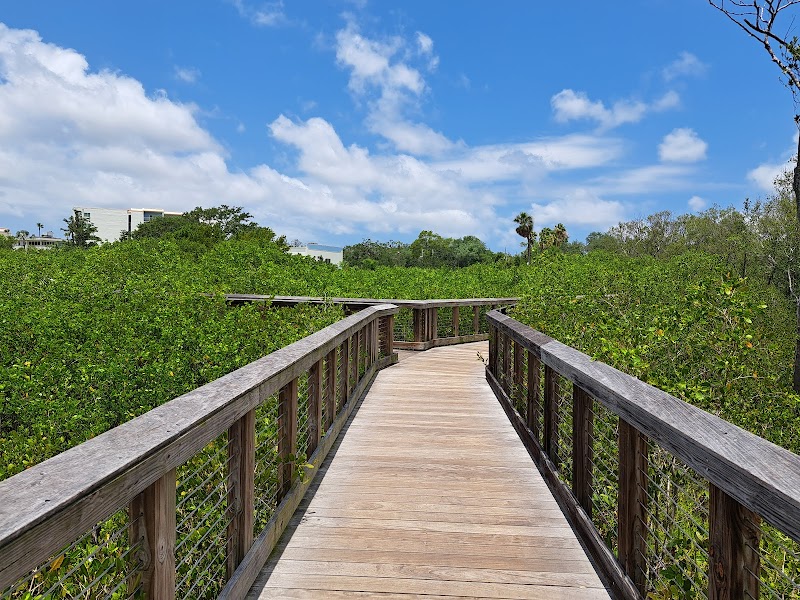 Photo of Safety Harbor Nature Boardwalk