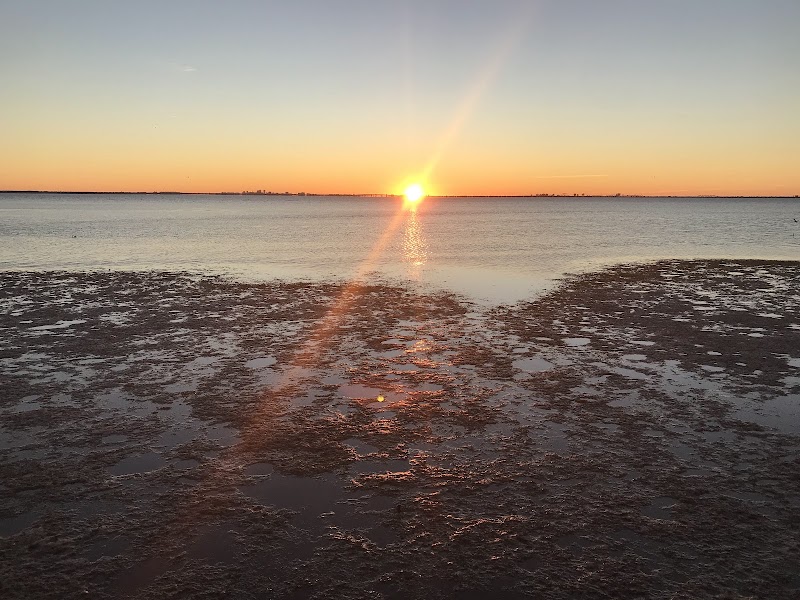 Safety Harbor Nature Boardwalk photo 5