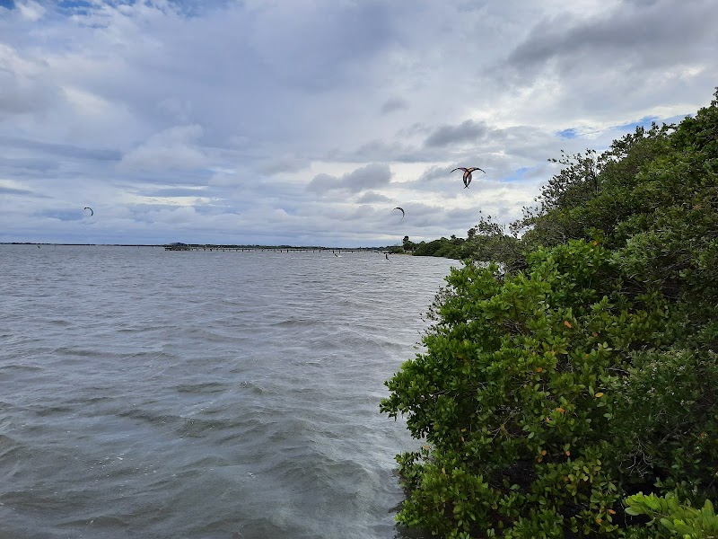 Safety Harbor Nature Boardwalk photo 4