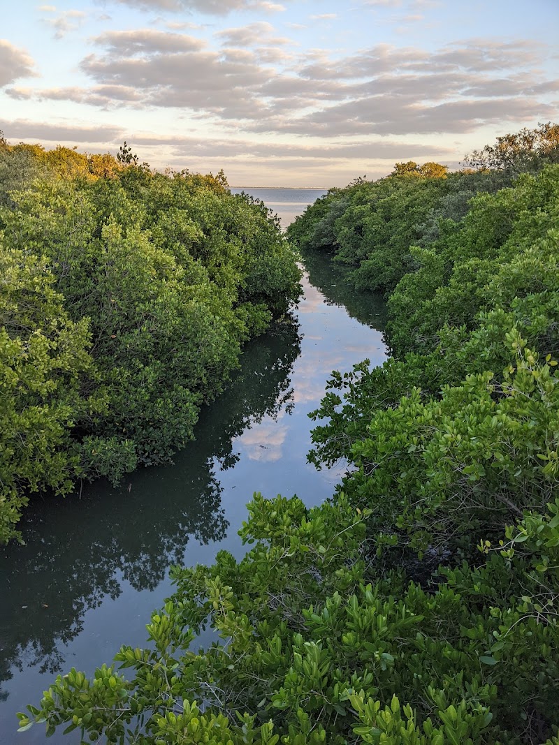 Safety Harbor Nature Boardwalk photo 3