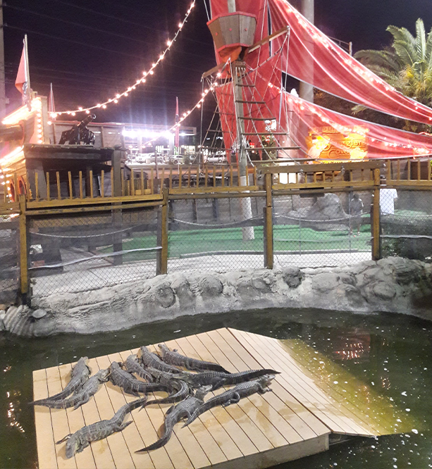 Photo of Smugglers Cove Adventure Golf