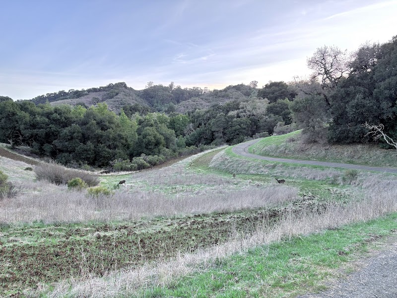 Seven Springs Loop Trail view photo 4