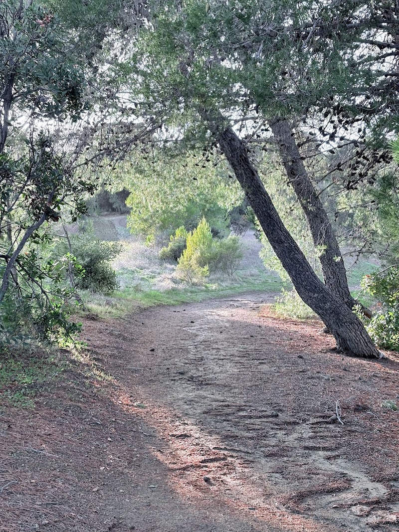 Seven Springs Loop Trail view photo 3