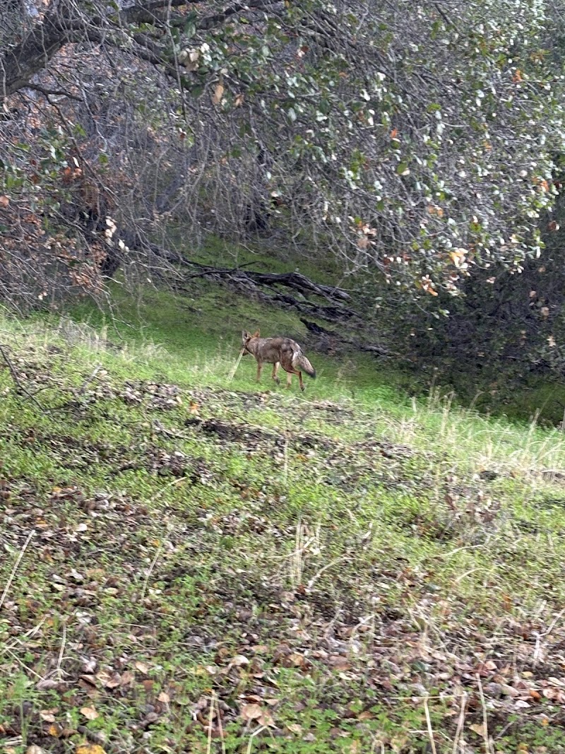 Seven Springs Loop Trail view photo 5