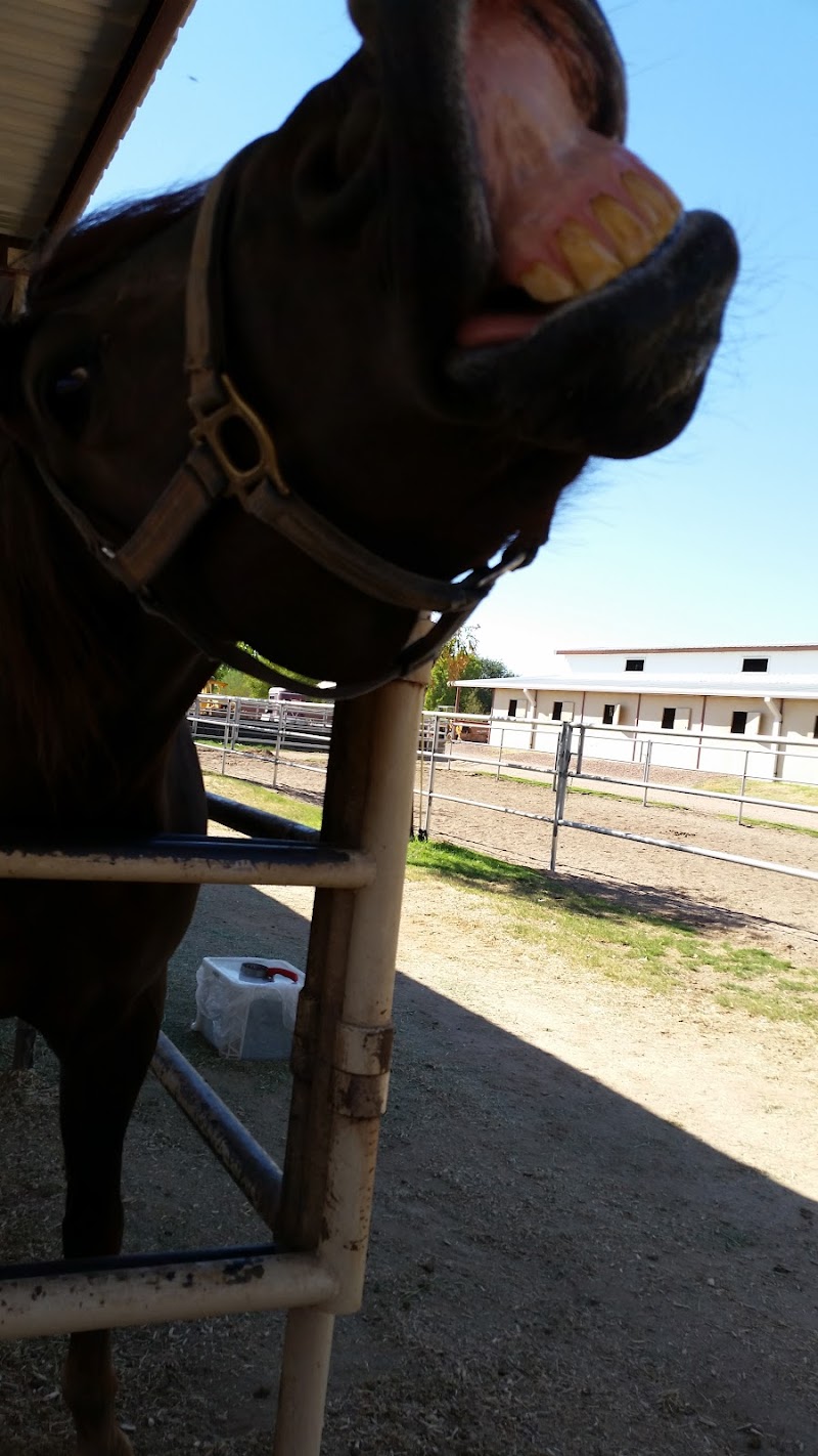 Sundancer Stables, LLC photo 5