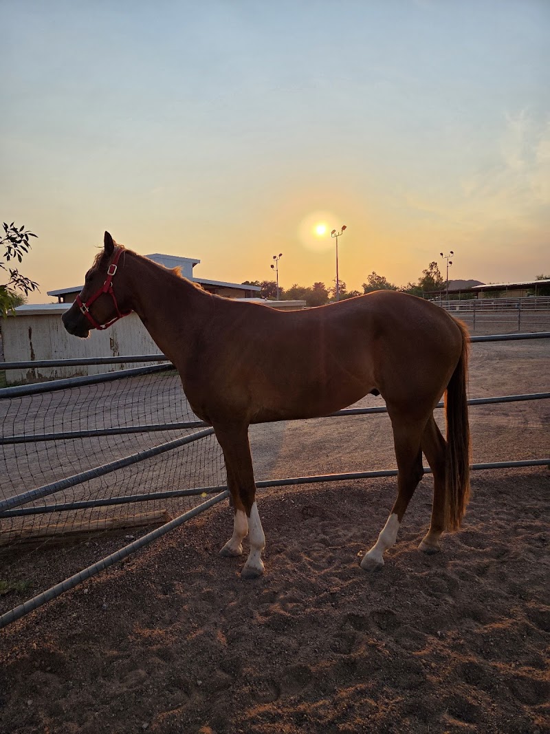 Photo of Sundancer Stables, LLC