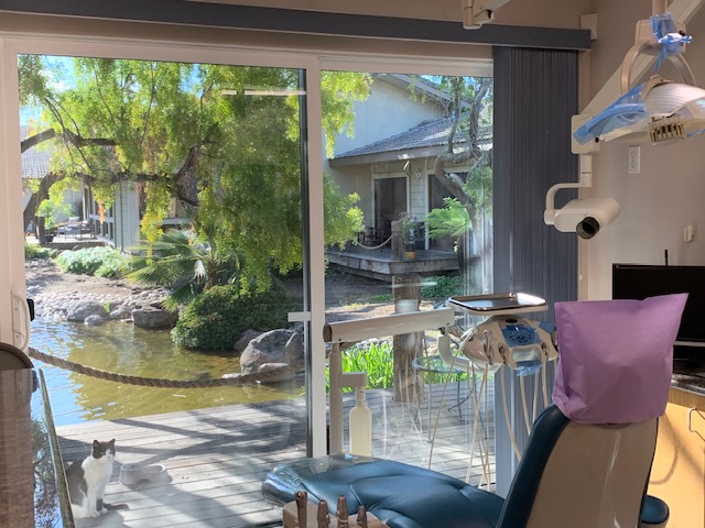 Larry Napolitano DDS, Diplomate, ABDSM photo 3