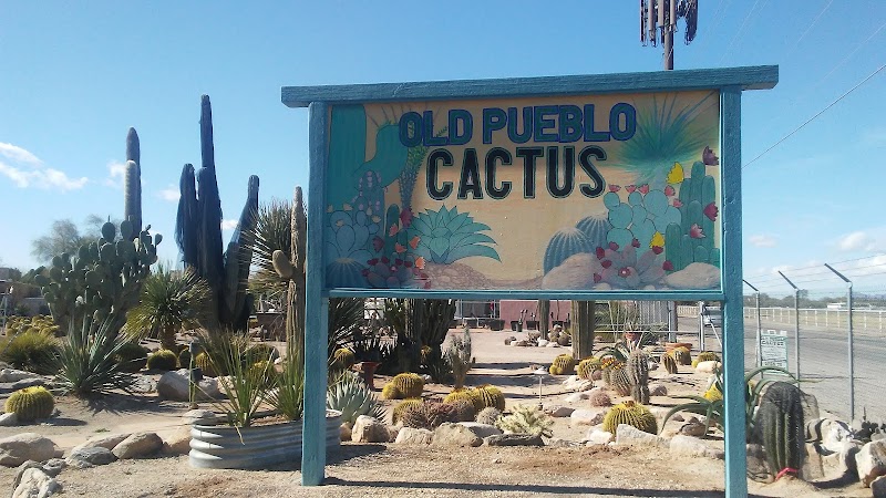 Photo of Old Pueblo Cactus