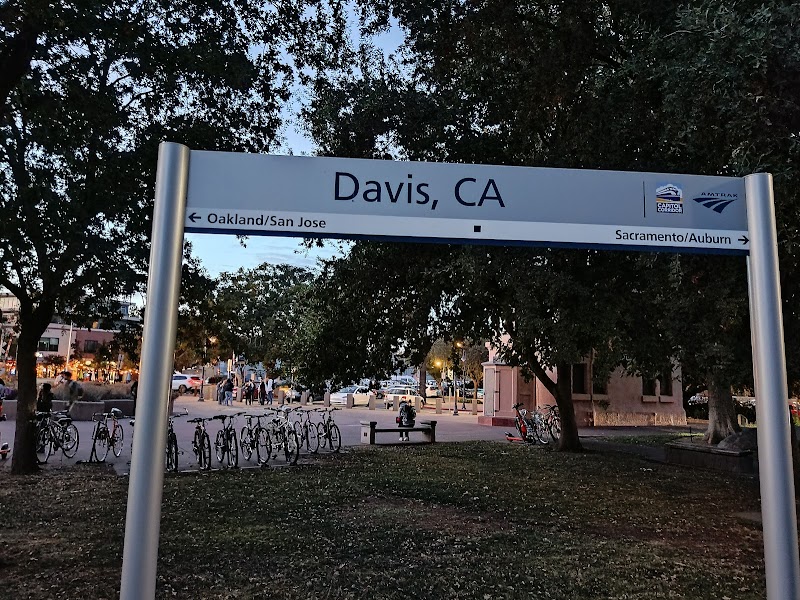 Davis photo 2
