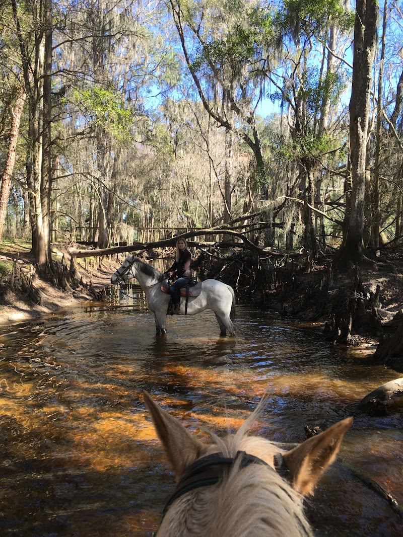 Lower Green Swamp Preserve photo 4