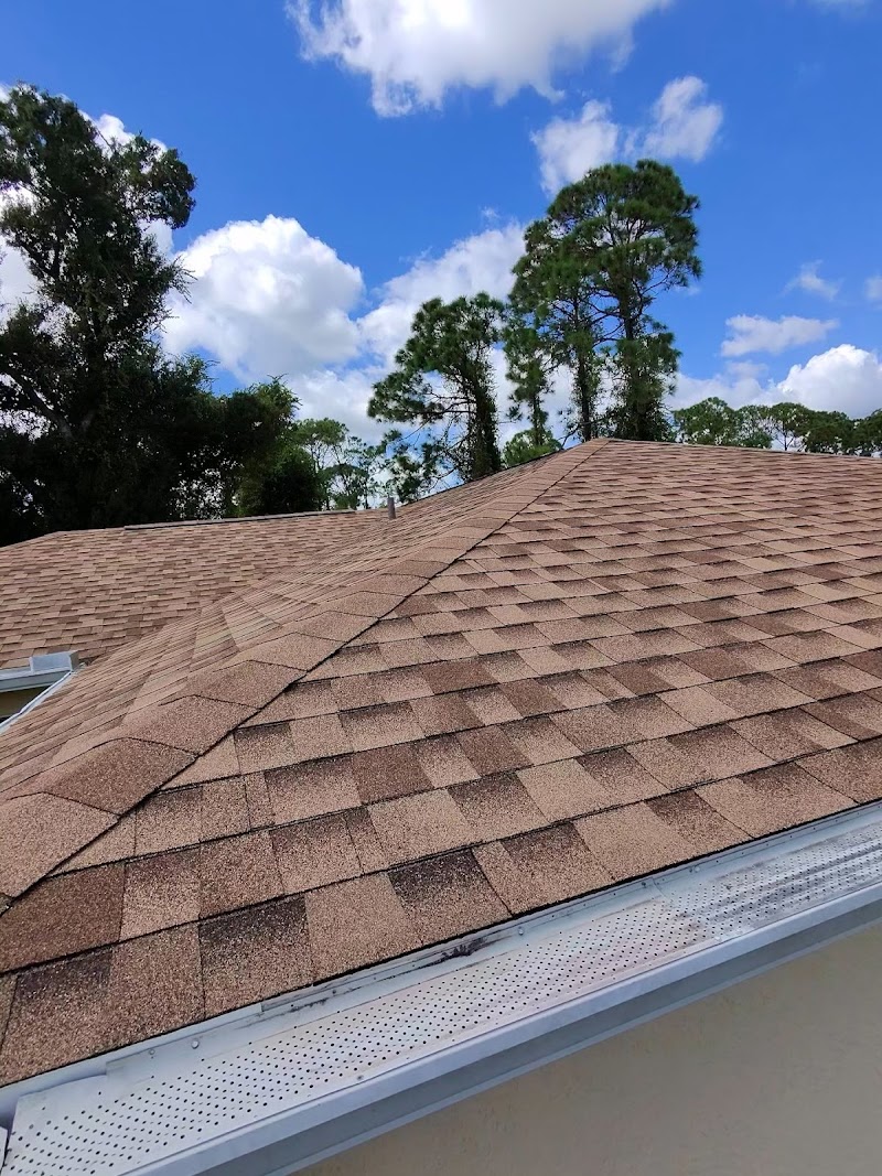 Native Sons Roofing photo 3