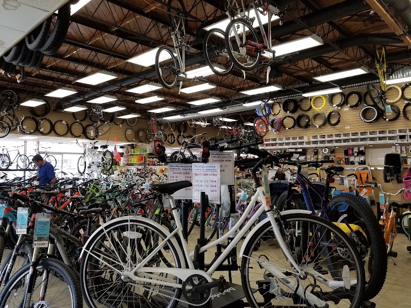 Bicycle Discovery Pacific Beach photo 2